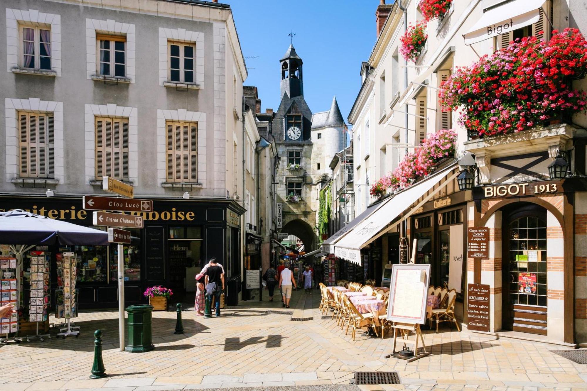 Terrasse Sur La Tour Garconnet Apartment Amboise Exterior photo